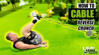 How To Do A Cable Reverse Crunch Exercise Demonstration Video And Guide