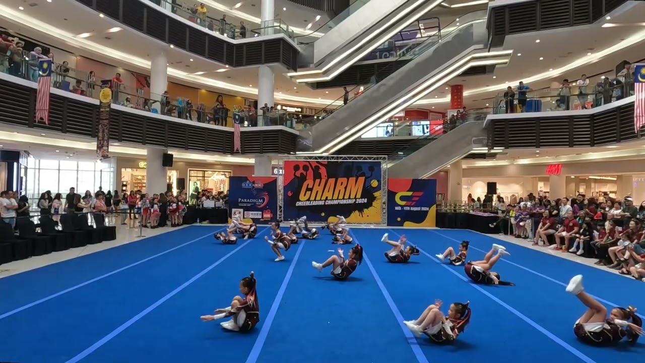 1016 MINI ZELTS C3 2024