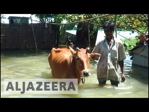 India monsoon rains affect nearly two million people