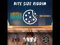 DYP In De Middle Bite Size Riddim St Lucia Carnival 2025 mp3