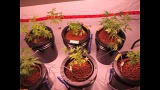 HHT 18k watts Y.G.C RDWC series ep.14