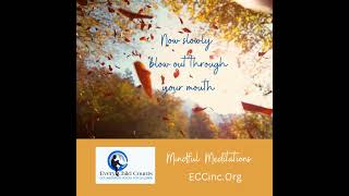 Every Child Counts -Fall Leaves - 1 Minute Meditation