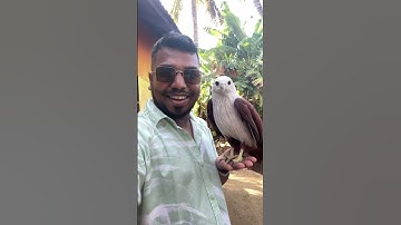 Posting sometimes just to ruffle feathers | Kerala