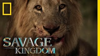 Sekekama: The Colossal King | Savage Kingdom