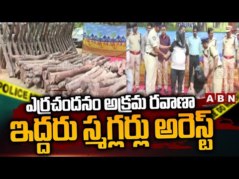 ఎర్రచందనం అక్రమ రవాణా ఇద్దరు స్మగ్లర్లు అరెస్ట్ |Police Arrest Smugglers  In Red Sandalwood Case|ABN - ABNTELUGUTV