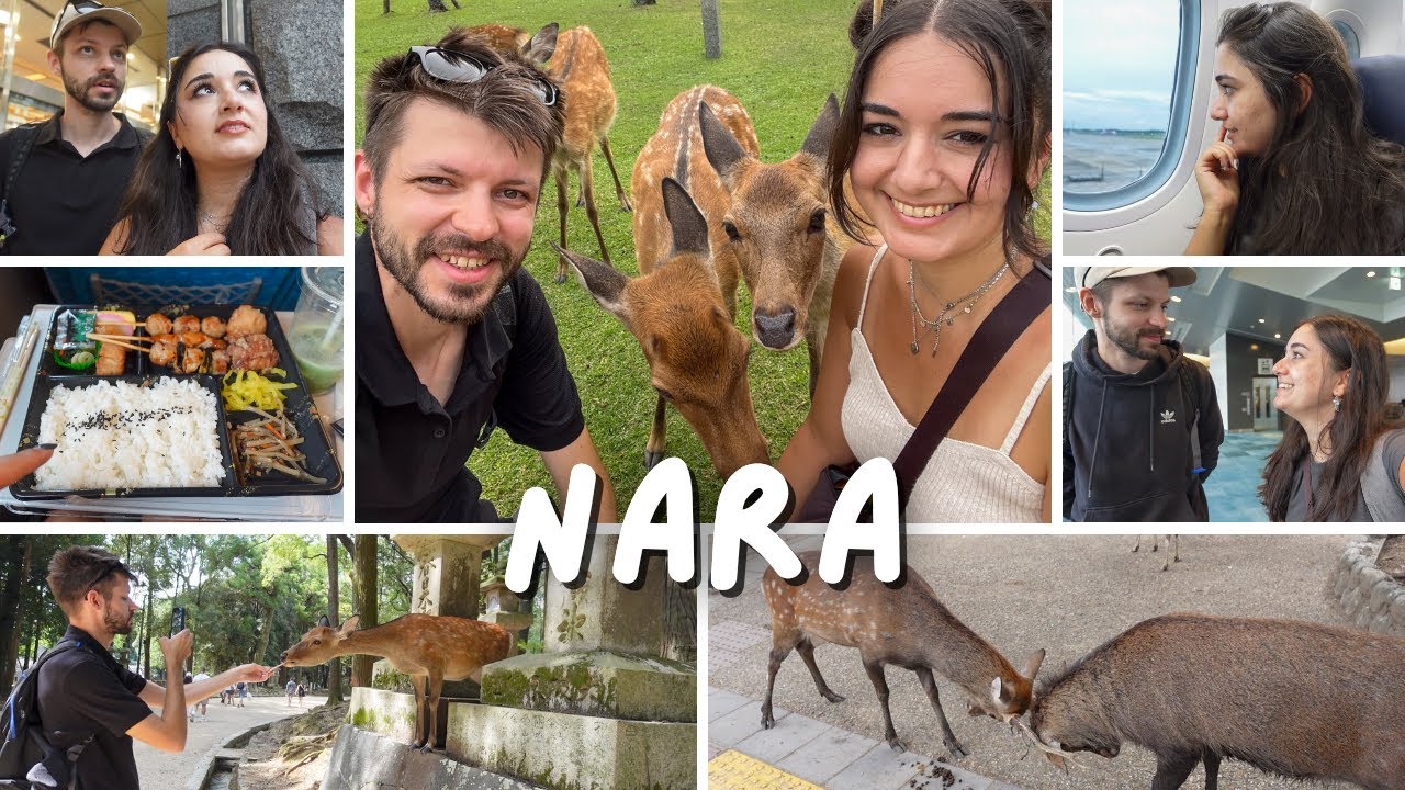 NARA | Sokak Geyikleri Var Burada??? | Eve Dönüyoruz (Sonunda xd)