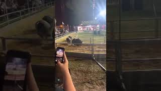 Pig Races at Clay County Fair