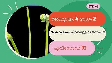 First Bell 3.0 STD 05 Basic Science ജീവനുള്ള വിത്തുകൾ Unit 4 Part 2 Epi 13