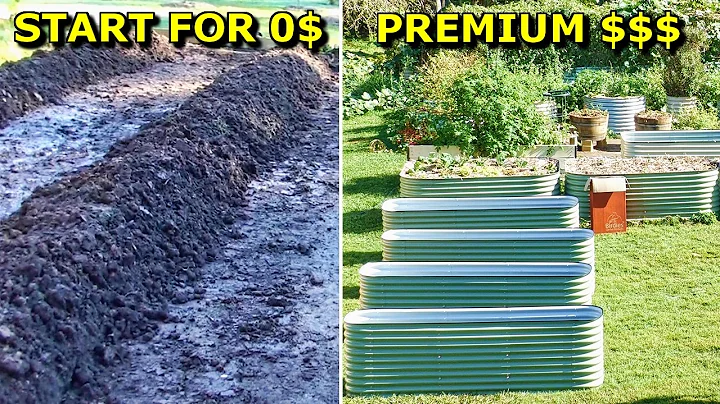 Start a Veggie Garden CHEAP — 5 Easy Methods Ranked thumbnail