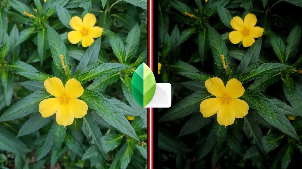 Snapseed Best Realistic Effect Editing Tricks🔥 | New Snapseed Photo Editing 