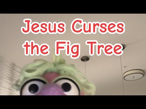Jesus Curses the Fig Tree 