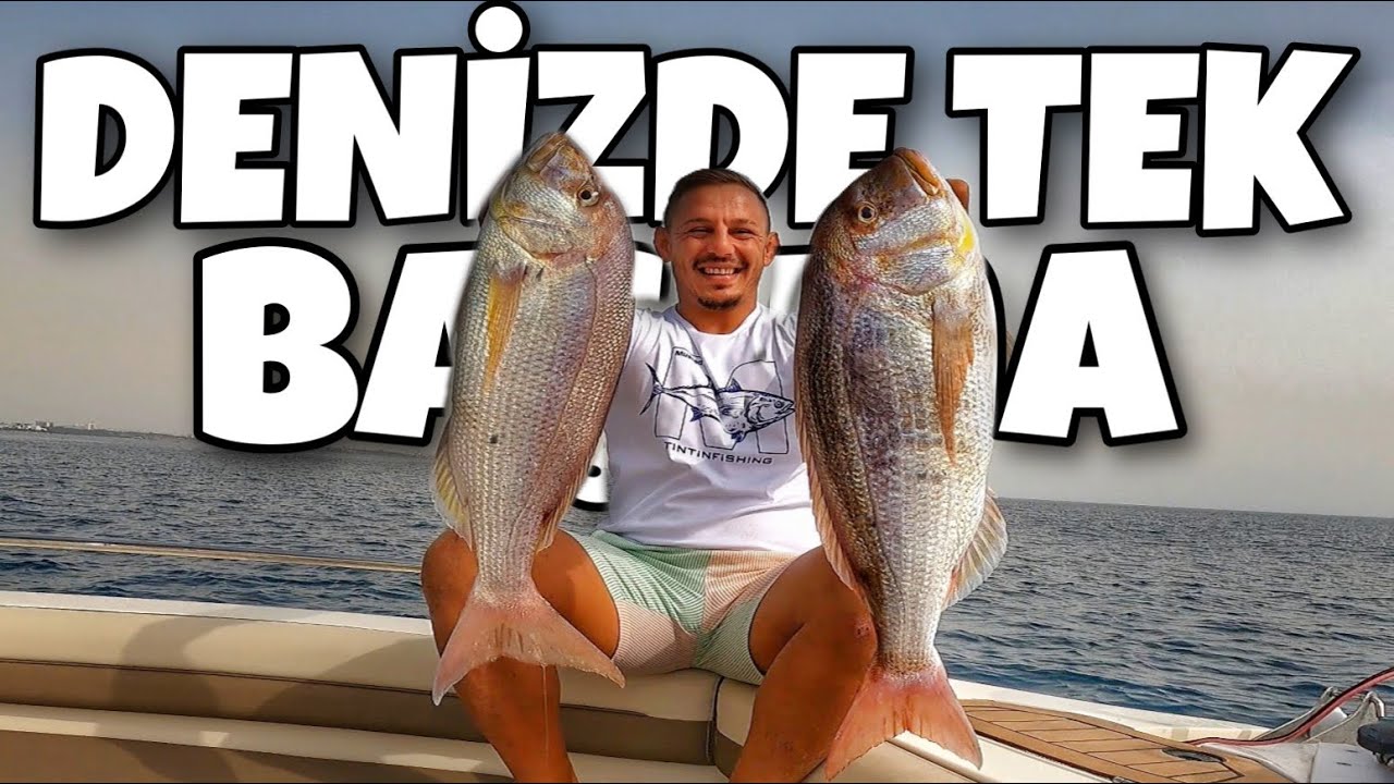 SİNARİT AVI! Bu Yem ile Bu Yöntem Rekor (Dentex Dentex)