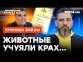 Скабеева, КИЕВ БРАТЬ БУДЕШЬ? Паника в студиях пропагандистов @skalpel_ictv