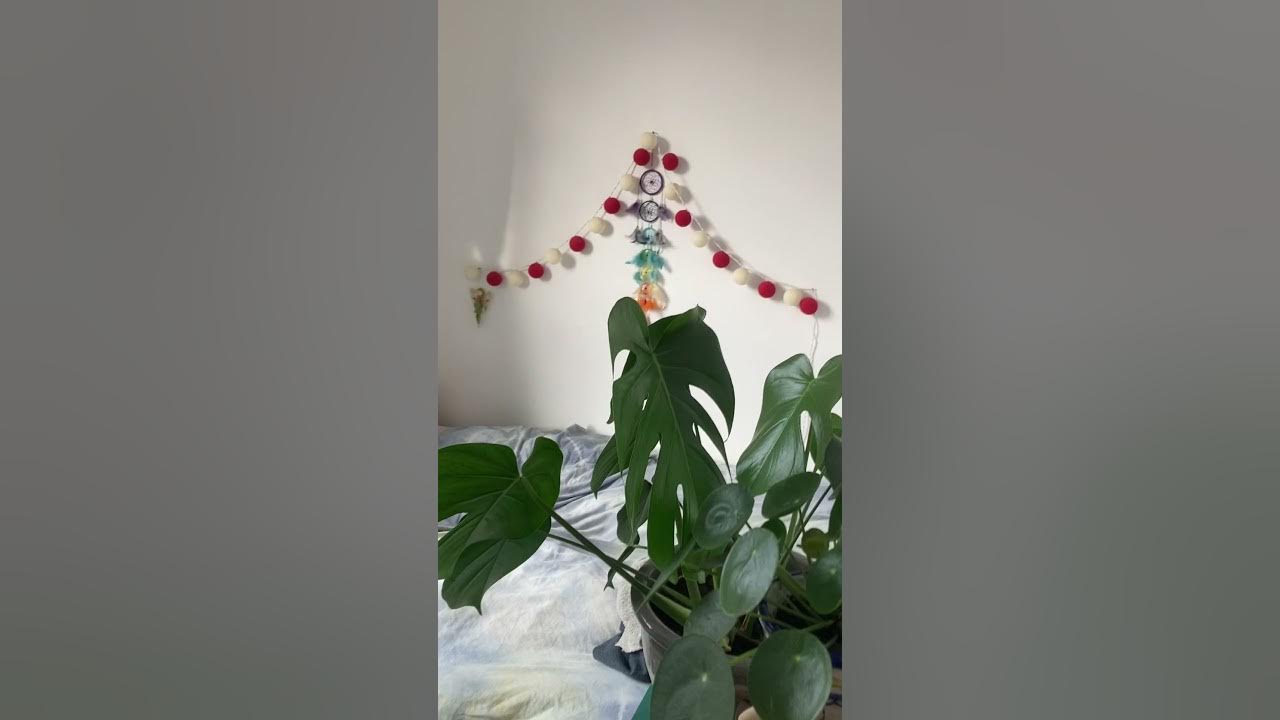 Wilberforce Road, Finsbury, London N4 Storeys Lettings agents in