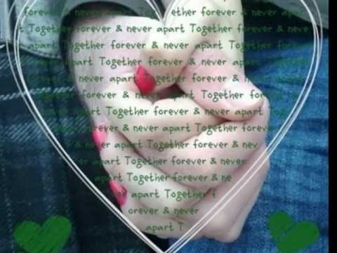 انا بعشقك صابر الرباعي     32