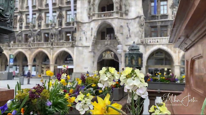 New Town Hall or Neues Rathaus, a town hall at Marienplatz in Munich, Bavaria