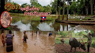 ເງືອກຖະຫຼົ່ມບ້ານ (ຕຳນານ), ປ່າໄມ້ລຳທຽນ ແຂວງອຸດົມໄຊ เงือกถล่มหมู่บ้าน (ตำนาน) สปป.ลาว Oudomxay, Laos