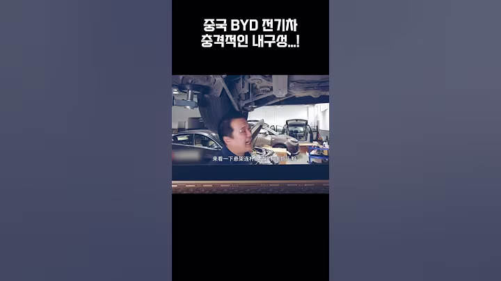 중국 BYD 전기차 여러분들 판단에 맡기겠습니다.