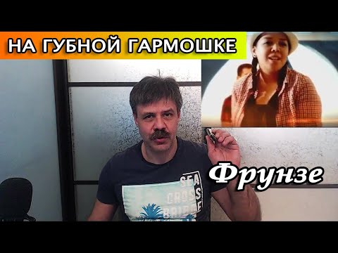 Фрунзе на губной гармошке