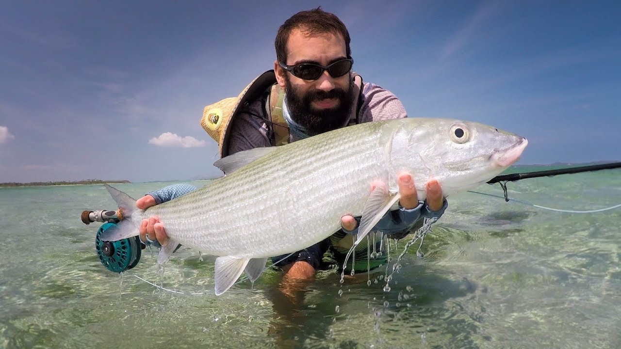 Big Bonefish [flyfishing New Caledonia] YouTube