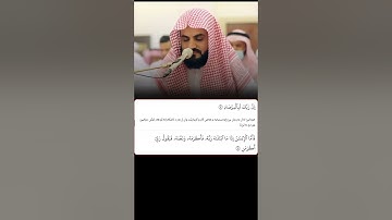 شيخ رعد الكردي حالات واتس اب | سورة (الفجر)