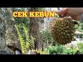 Cek Kebun Rimbun