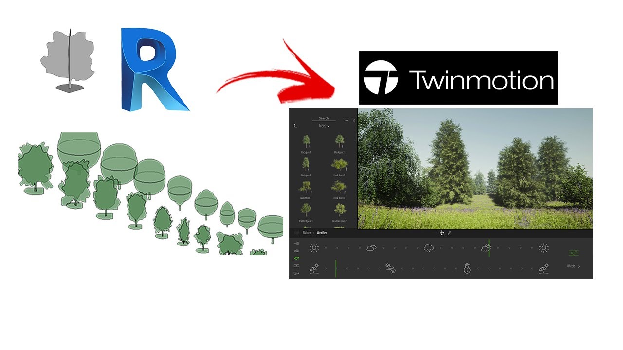 are there any redwood trees to use with twinmotion