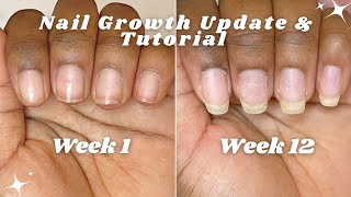Week 12 Growing Strong Long Natural Nails | How To Apply Builder Gel To GROW Your Nails Tutorial