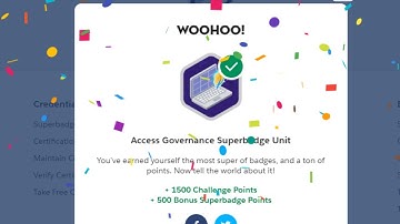 Access Governance Superbadge Unit