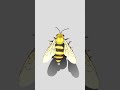 3D figure of a Bee #()