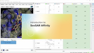 Introduction to SeeSAR Affinity