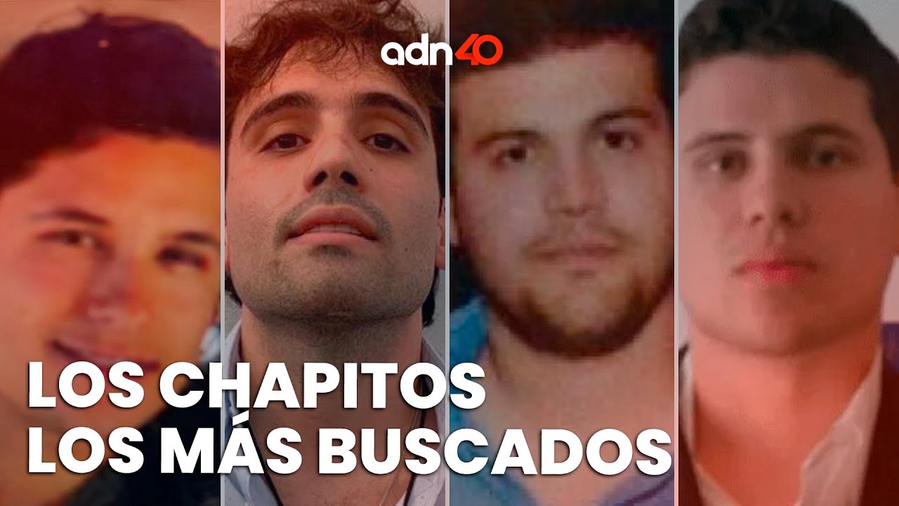 Los Chapitos son los principales traficantes de fentanilo en el mundo | Todo Personal