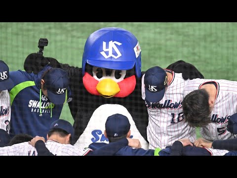 日本一へ！青木宣親選手の円陣声出し！【つば九郎目線】