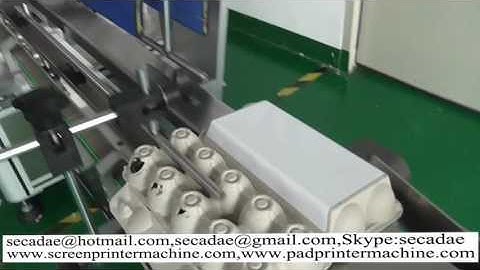 automtic loading and unloading egg carton boxes self-adhesive labeling machines,