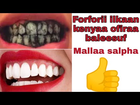 Forforii Ilkaan Kenyaa Ofiraa Baleesuf Dandenyuu