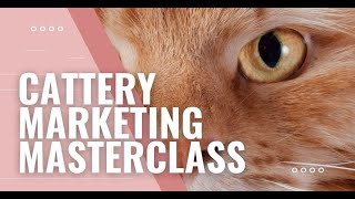 Cattery Marketing Masterclass  Special Training Event 2023