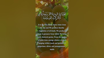 ما تيسر من سورة الأنعام - محمد المحيسني #تلاوة_مبكية  #المحيسني #Quran