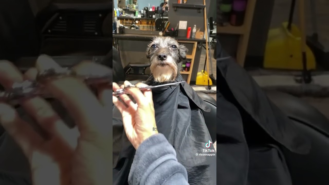 gyatt😤😮‍💨  