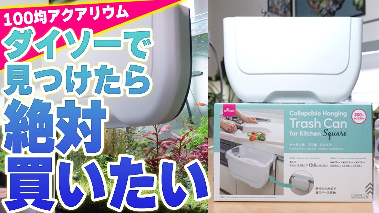 【100均アクアリウム】ダイソーの伸縮ゴミ箱がアクアリウムに超便利！ - 4K #アクアリウム #100均