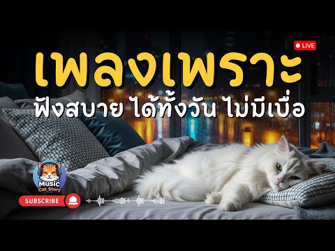 🔴 LIVE | 🎶 เพลงเพราะ ฟังสบายต่อเนื่อง ทั้งวันทั้งคืน 🌙☕