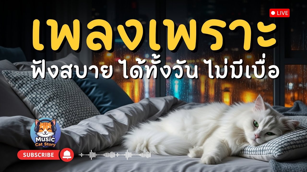 🔴 LIVE | 🎶 เพลงเพราะ ฟังสบายต่อเนื่อง ทั้งวันทั้งคืน 🌙☕