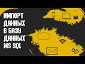 Импорт Данных в Базу Данных MS SQL