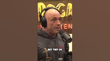 Joe Rogan On Gigantopithecus The Enigmatic Giant Ape That Walked the Earth