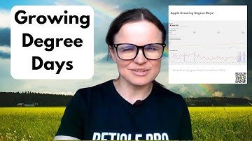 AI in Agriculture: Why Local Weather Data Matters for Farmers | One Idea a Day - Dr. Maryna Kuzmenko