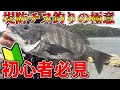 初心者の為の堤防チヌふかせ釣り、釣り方講座