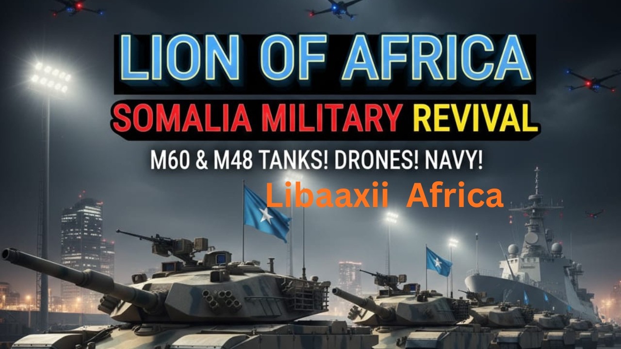 Somalila : Libaaxii Africa ee Soo laba kacleeyay, dhinaca Ciidanka ee Cirka, Dhulka & badda