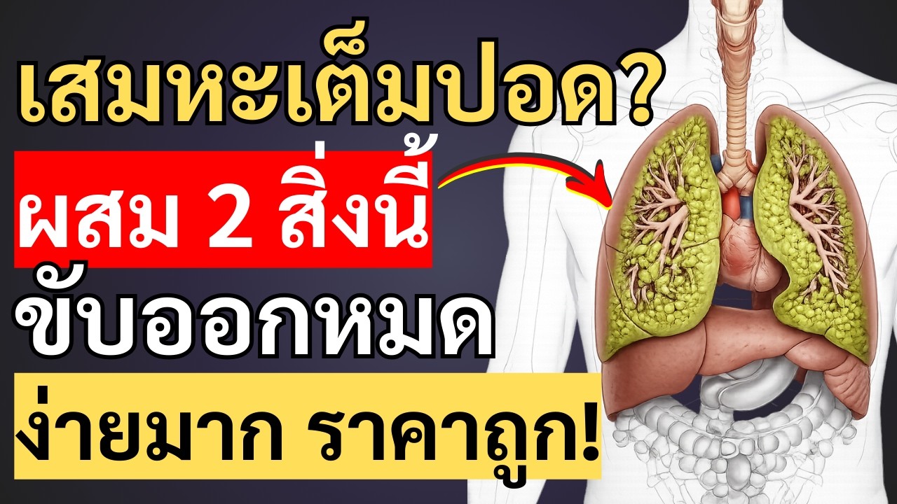 สูตรขับเสมหะธรรมชาติ ล้างคอและปอดหมดเกลี้ยง ทรงพลังมาก!