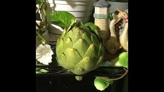 Artichoke How-To and Winter Soup