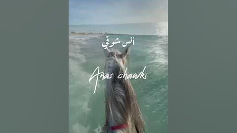 آية الكرسي برواية ورش للقارئ أنس شوقي