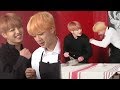 JIN and JUNGKOOK, Boxing Team Explodes Unique and Hilarious Chemistry